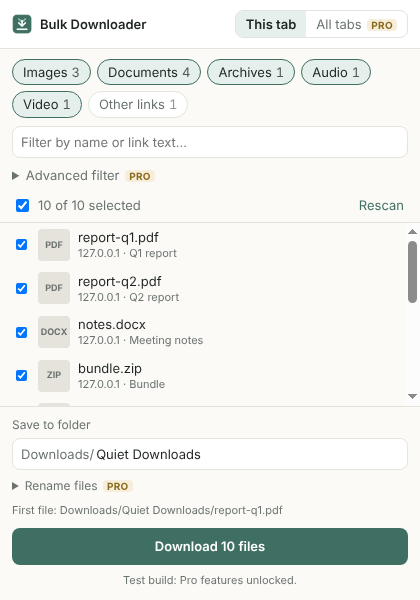 Quiet Bulk Downloader showing a list of files found on a page